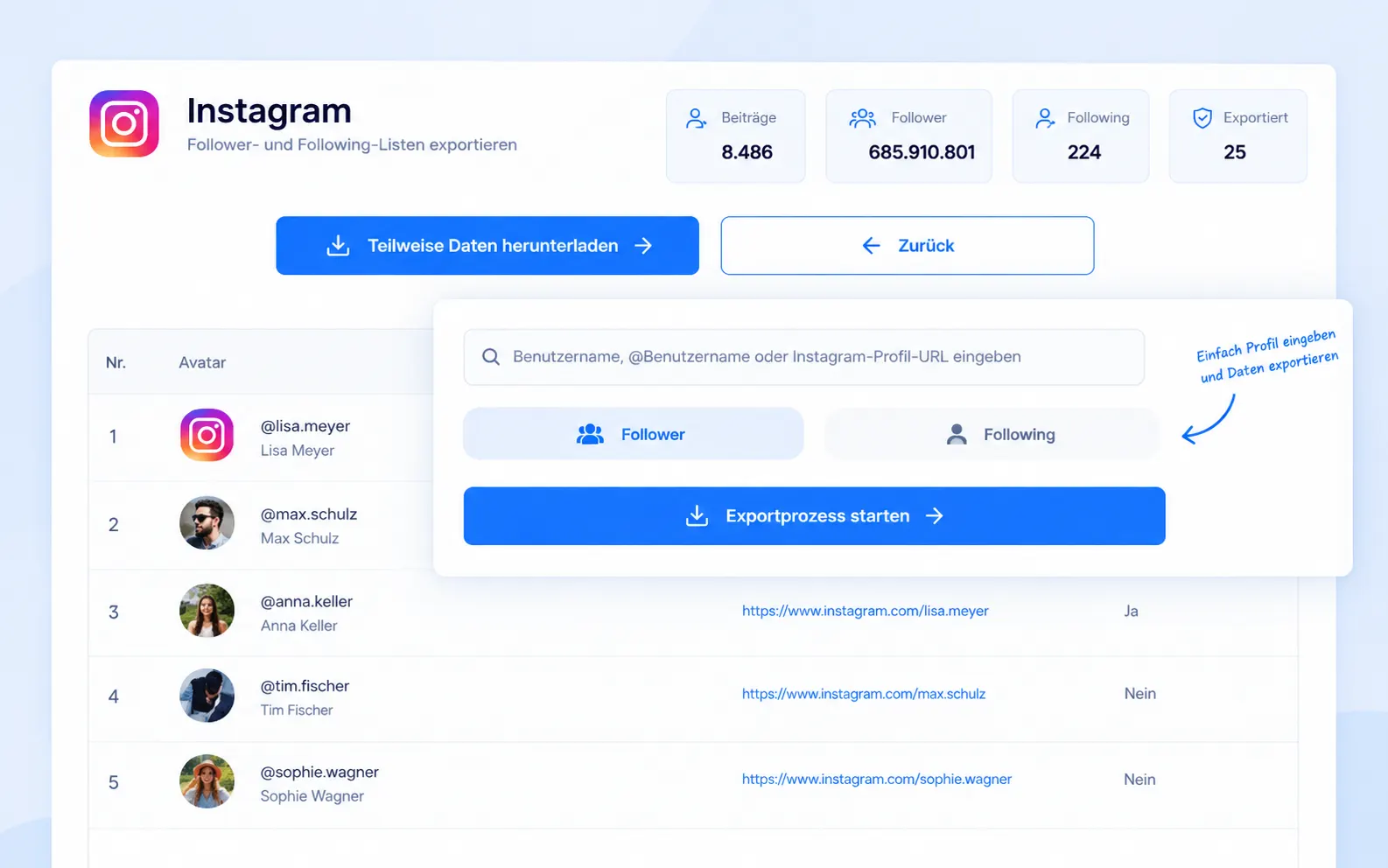 Instagram-Profil eingeben