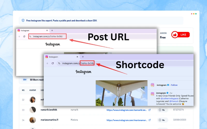 Paste a Public Instagram Link