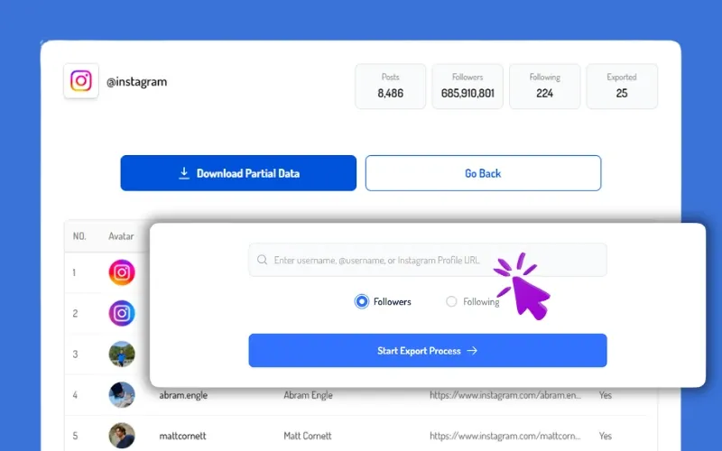 Step 1: Enter Instagram username or profile link in the IG follower export tool