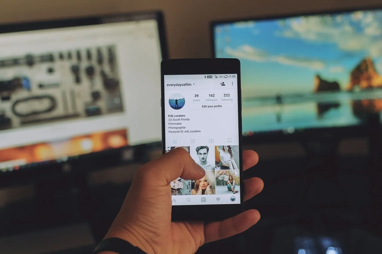 Social media auditors detecting fake Instagram followers and bot accounts
